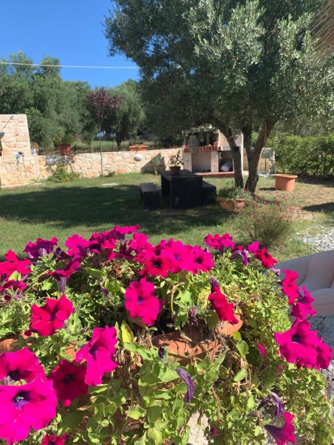 Evita , Athytos Wonderful ,63m2,a/c Tatil Evi
